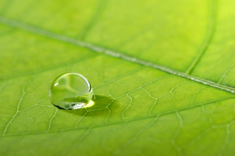 Hotel Mending Kits - Hotel Supplies Canada