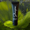 Hotel Supplies Shampoo AMBR Spa 50 pack - Branded Amenities by Custom Amenities Inc.